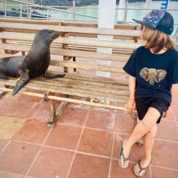 The Land Animals of the Galapagos